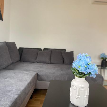 Luxury Apartment With Air Conditioning & Jaccuzzi Near Frankfurt Wiesbaden Hofheim Exterior foto